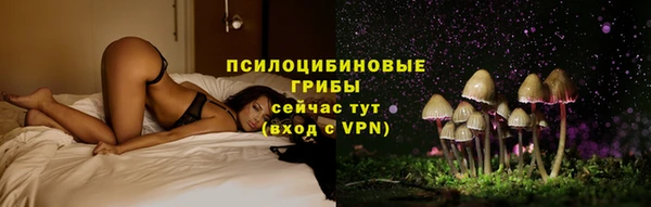 первитин Медвежьегорск