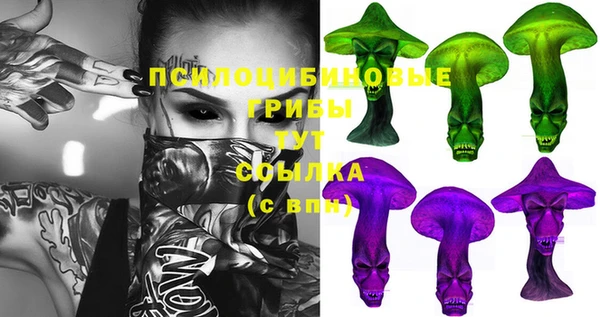 первитин Медвежьегорск
