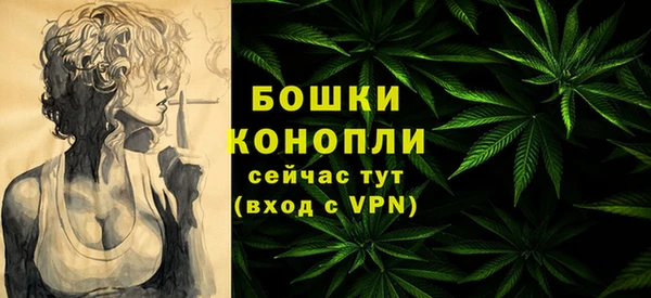 тгк Мегион