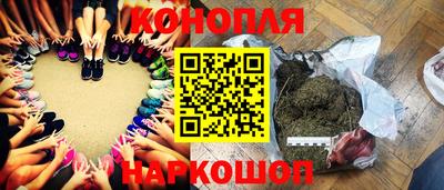 молекула духа Партизанск